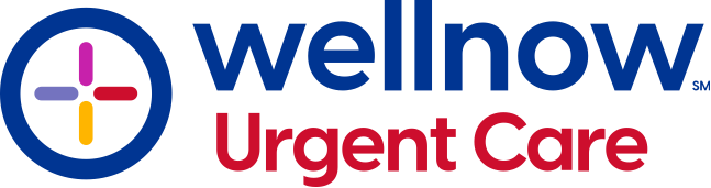 Well Now Logo